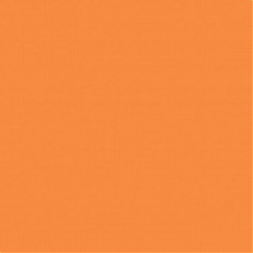 Калейдоскоп  оранжевый (99.84)