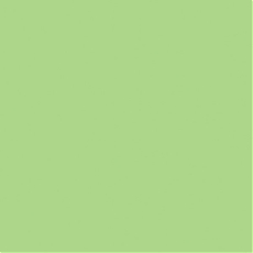 Калейдоскоп зеленый (99,84)